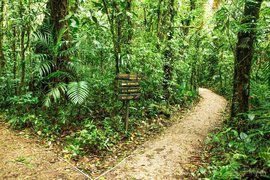 Monteverde Cloud Forest Biological Preserve in Costa Rica, Puntarenas Province | Nature Reserves - Rated 3.8