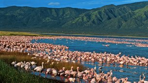 Lake Elementaita in Kenya, Rift Valley | Lakes,Trekking & Hiking - Rated 3.5