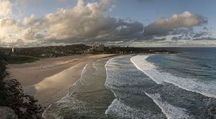 Freshwater Beach in Australia, New South Wales | Surfing,Beaches - Rated 0.9