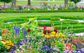 Alaska Botanical Garden | Botanical Gardens - Rated 3.7