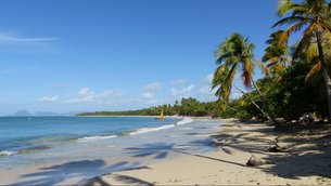 Grande Anse des Salines | Beaches - Rated 3.7