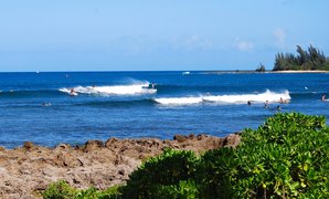 Haleiwa Alii Beach in USA, Hawaii | Surfing,Beaches - Rated 0.8