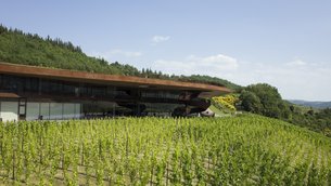 Antinori in the Chianti Classico in Italy, Tuscany | Wineries - Rated 3.8