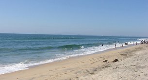 Huntington Dog Beach | Beaches - Rated 4.1