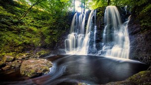 Glenariff Forest Park Scenic Trail in United Kingdom, Northern Ireland | Trekking & Hiking - Rated 3.9