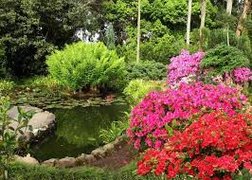 Batumi Botanical Garden | Botanical Gardens - Rated 4.4