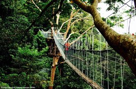 Forest Research Institute Malaysia in Malaysia, Selangor | Trekking & Hiking - Rated 3.4