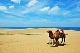 Tottori Sand Dunes | Deserts,Sandboarding - Rated 9.4
