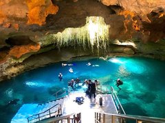 Devil's Den Prehistoric Spring in USA, Florida | Scuba Diving - Rated 9.4