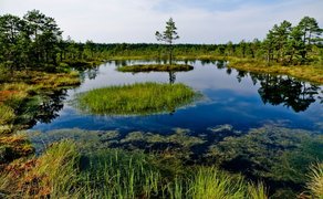 Lahemaa in Estonia, Harju County | Parks - Rated 4