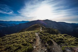 Blue Mountain Peak Trail | Trekking & Hiking - Rated 0.9