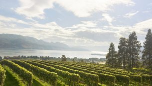 Mission Hill Family Estate in Canada, British Columbia | Wineries - Rated 3.8