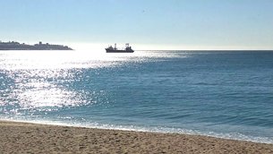 Caleta Portales Beach | Beaches - Rated 4.7