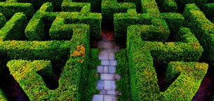 Hampton Court Maze in United Kingdom, Greater London | Labyrinths - Rated 3.7
