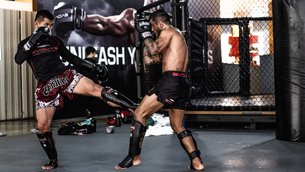 Wildcat Muay Thai in Thailand, Northern Thailand | Martial Arts - Rated 1