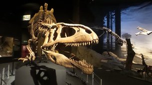 Egidio Feruglio Paleontological Museum in Argentina, Chubut Province | Museums - Rated 3.7