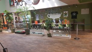 Nevada Wellness Center | Cannabis Cafes & Stores - Rated 3.2