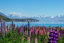 Tekapo Springs in New Zealand, Southland | Hot Springs & Pools - Rated 3.8