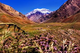 Aconcagua | Volcanos,Trekking & Hiking - Rated 4.4