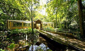 Recife Botanical Garden | Botanical Gardens - Rated 4.1