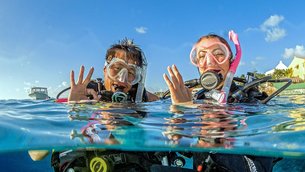 Diving Course Padi in Egypt, Red Sea Governorate | Scuba Diving - Rated 4.1