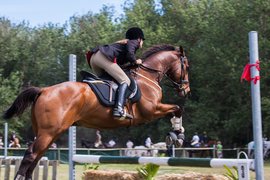 Lindinhof Equine Sports Zentrum in USA, Wisconsin | Horseback Riding - Rated 1