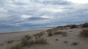 Roquille Beach in France, Occitanie | Beaches - Rated 3.4