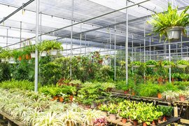 Kuntum Farmfield | Gardens - Rated 3.7