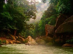 Rio Platano Biosphere Reserve in Honduras, Copan | Nature Reserves - Rated 0.8