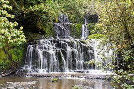 Purakaunui Falls in New Zealand, Otago | Waterfalls - Rated 3.7