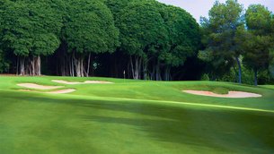 Real Spanish Federation of Golf in Spain, Community of Madrid | Golf - Rated 3.5
