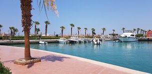 Royal Sea Scope Trips in Egypt, Red Sea Governorate | Architecture - Rated 3.8