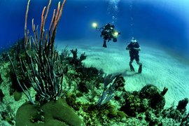 ZOEA Scuba Diving Center in Spain, Balearic Islands | Scuba Diving - Rated 3.8
