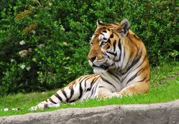 Hamburg Zoo | Zoos & Sanctuaries - Rated 5.6