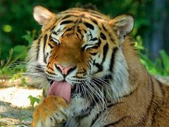 Hellabrunn | Zoos & Sanctuaries - Rated 5.7