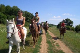Stables Stetice in Czech Republic, Central Bohemian | Horseback Riding - Rated 1.2