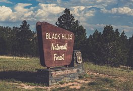 Black Hills National Forest | Nature Reserves,ATVs - Rated 0.9