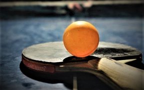 TTPOR - Academia de Ténis de Mesa | Ping-Pong - Rated 1