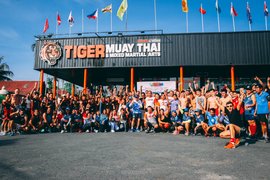 Tiger Muay Thai | Martial Arts - Rated 4.9