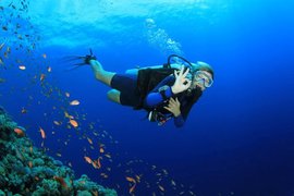 Dive Sicily - Giardini and Taormina in Italy, Sicily | Scuba Diving - Rated 4