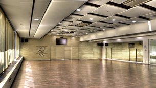 Tancirna Tanecni Studio Petra Cadka | Dancing Bars & Studios - Rated 4