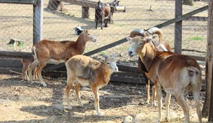 Zoo Gorica | Zoos & Sanctuaries - Rated 3.6