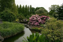University of Oslo Botanical Garden | Botanical Gardens - Rated 4.1