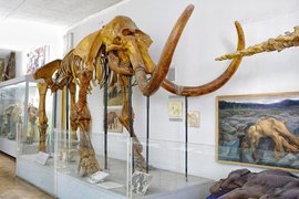 National Museum of Natural History of the National Academy of Sciences of Ukraine in Ukraine, Kyiv Oblast | Museums - Rated 3.8