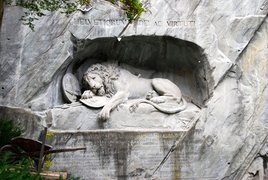 Dying Lion