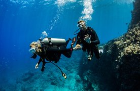 Ocean Sports in Puerto Rico, Northern | Scuba Diving - Rated 0.7
