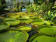 Botanical Garden | Botanical Gardens - Rated 3.9