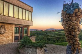 Aleksandrovic Winery in Serbia, Sumadija and Western Serbia | Wineries - Rated 3.9