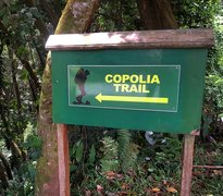 Copolia Trail | Trekking & Hiking - Rated 3.9