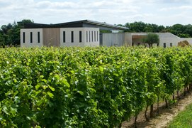 Field Rocheville in France, Pays de la Loire | Wineries - Rated 0.8